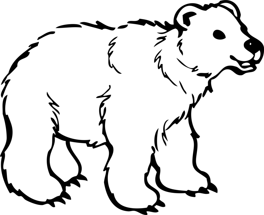 Polar Bear American Black Bear Giant Panda Grizzly - Colouring Pages Of Bear (922x750), Png Download