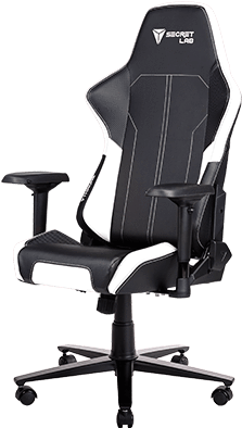 Secret Lab Chair (320x479), Png Download