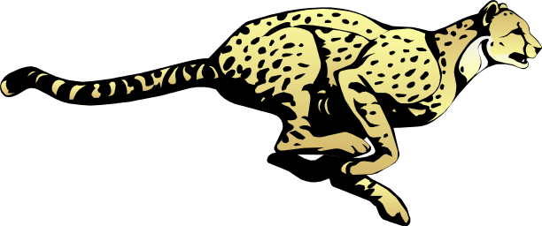 Cheetah Png Pictures - Running Cheetah Clipart (612x256), Png Download