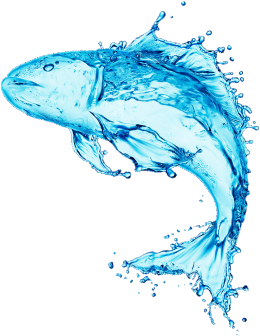 Fish Made Of Water (1500x1166), Png Download