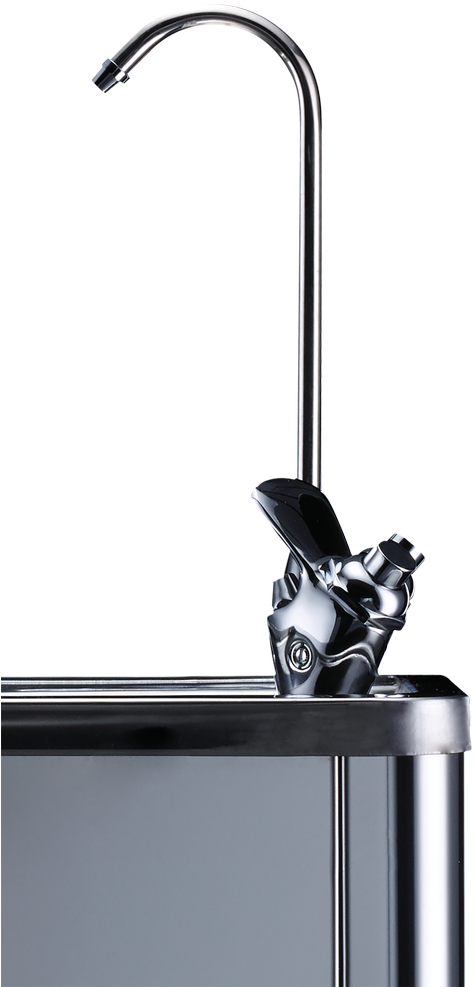 Love Water F4 Fountain - Dog Catches Something (960x1280), Png Download