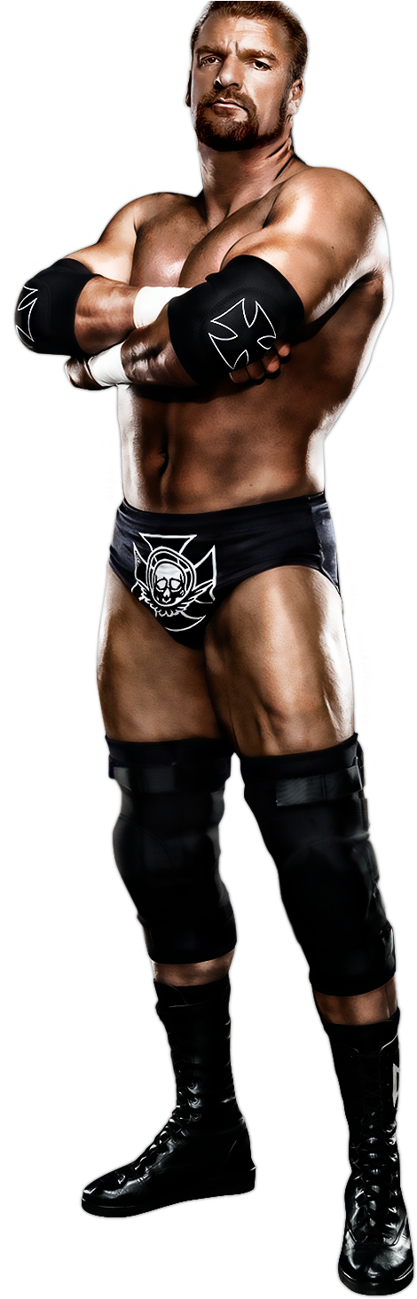 Triple H - Google 검색 - Triple H 2014 Png (526x1489), Png Download