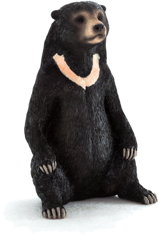 Wildlife - Animal Planet - Sun Bear (368x540), Png Download