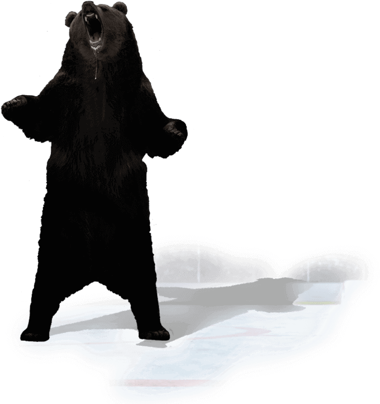 Punxsutawney Phil (1920x860), Png Download