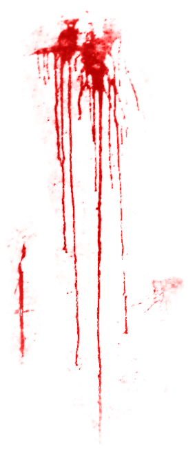 Source - - Blood Splatter Overlay (314x662), Png Download