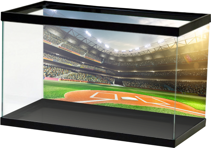 All Backgrounds Are Printed To Order, So We Cannot (800x800), Png Download