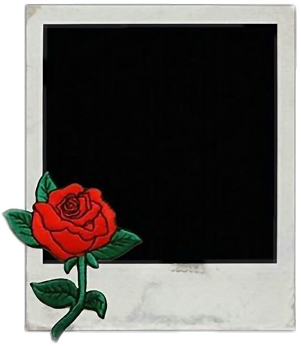 Picture Tumblr Summer Flowers Polaroid Wattpad Wattpasc - Garden Roses (606x698), Png Download