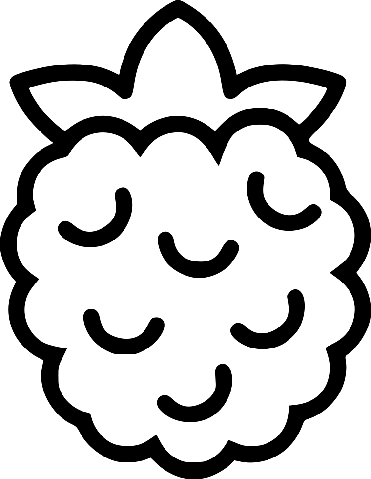 Raspberry Svg Png Icon Free Download - Raspberry (760x980), Png Download