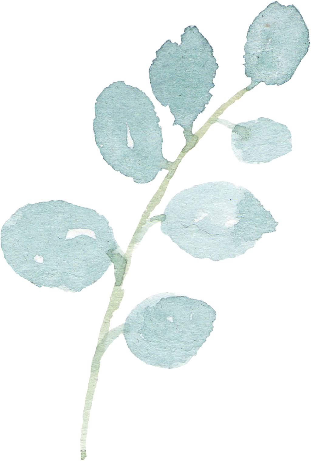 Simple Hand-painted Branches Of A Branch Watercolor - 水彩 顏料 棕 Png (1024x1517), Png Download