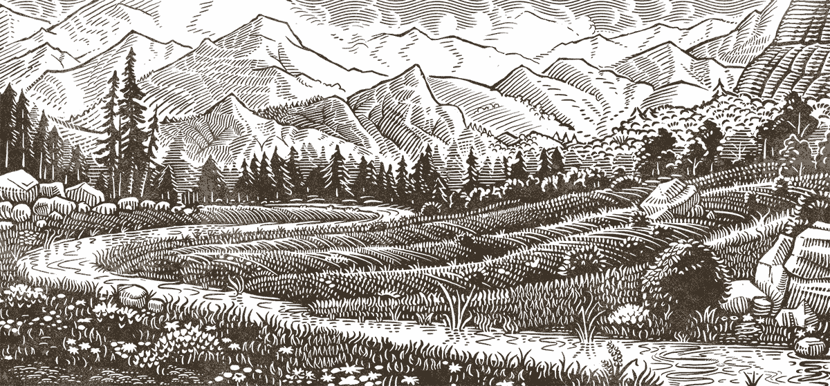 Farmed Animals - Animal Legal Defense Fund (1200x559), Png Download