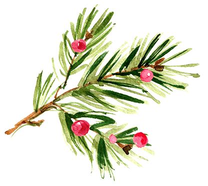 Wannemaker's Winter Wonderland Makes The Season Bright - Pinecone Pattern Luncheon Napkins 240 Ct (416x372), Png Download