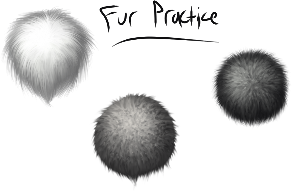 28 Collection Of Fur Drawing Texture - Fur Texture Drawing (1024x768), Png Download