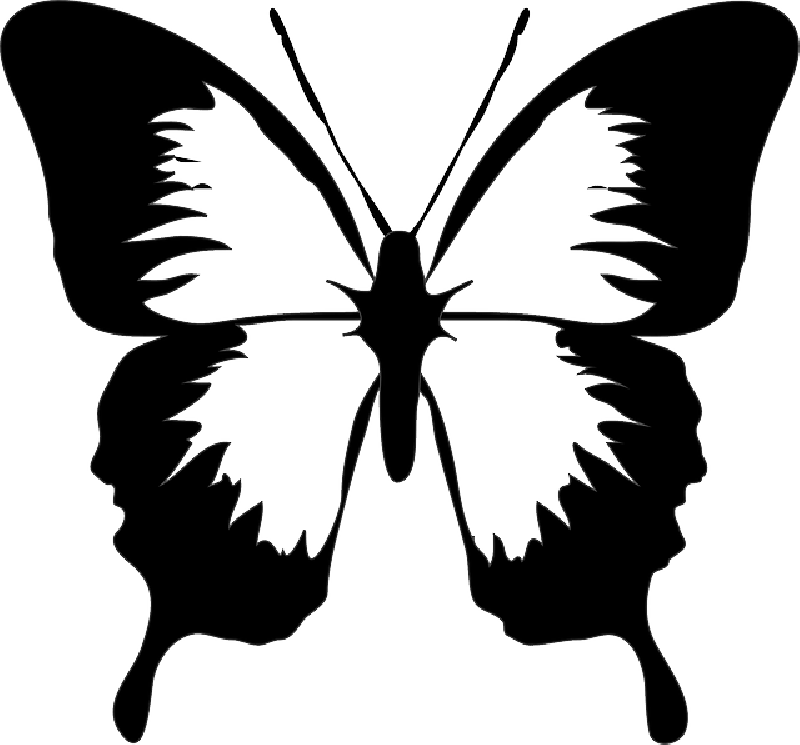 Mb Image/png - Butterfly Clip Art (800x745), Png Download