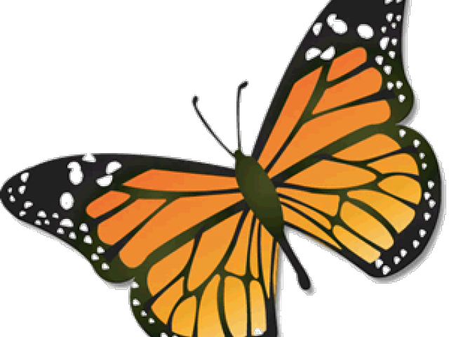 Black And White Free On Dumielauxepices Net August - Monarch Butterfly Clip Art Black And White (640x480), Png Download