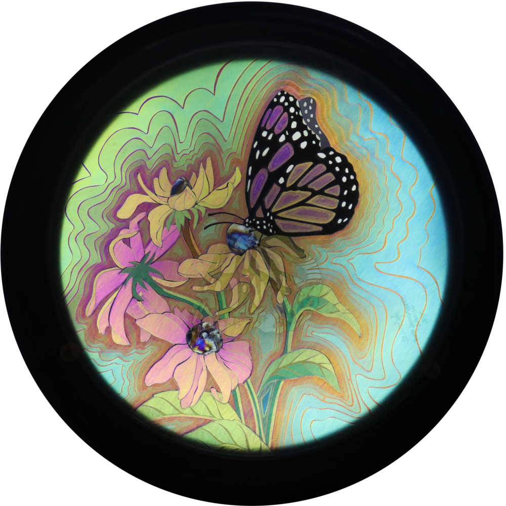 Spreding Your Wings - Monarch Butterfly (1000x1001), Png Download