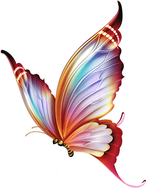 Freetoedit Butterfly Beautiful Png Freetoedit Butterfly - Mariposas Para Dibujar A Lapiz (514x638), Png Download