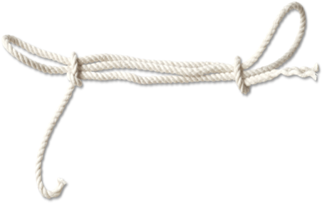 Download - Bead (500x305), Png Download