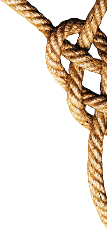 Enjoy The Gold Coast Xo Barbados Rum - Mojito Recipe (376x773), Png Download