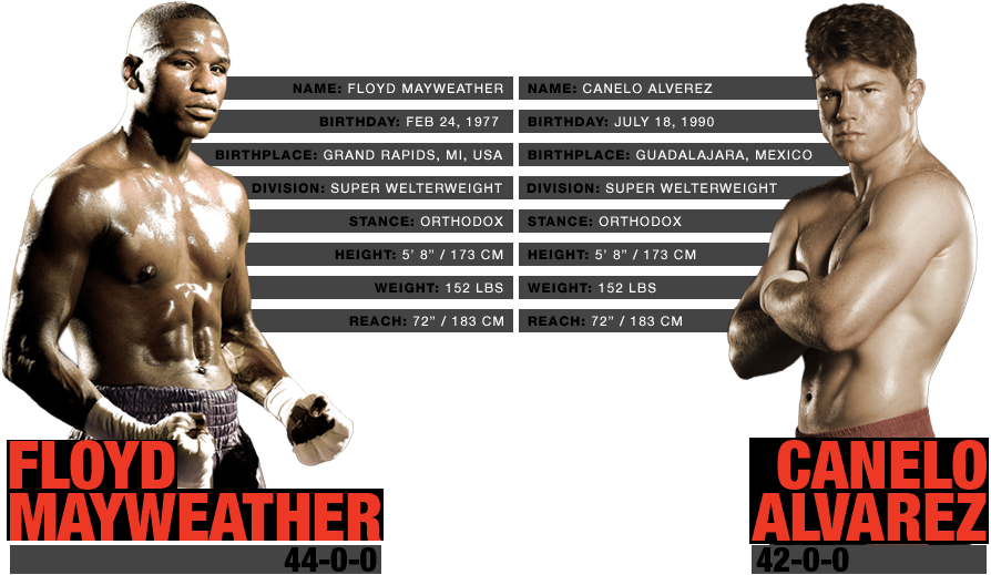 Named Whilst The One Battle, The Floyd Mayweather Versus - Floyd Mayweather Vs Canelo Alvarez Stats (894x519), Png Download