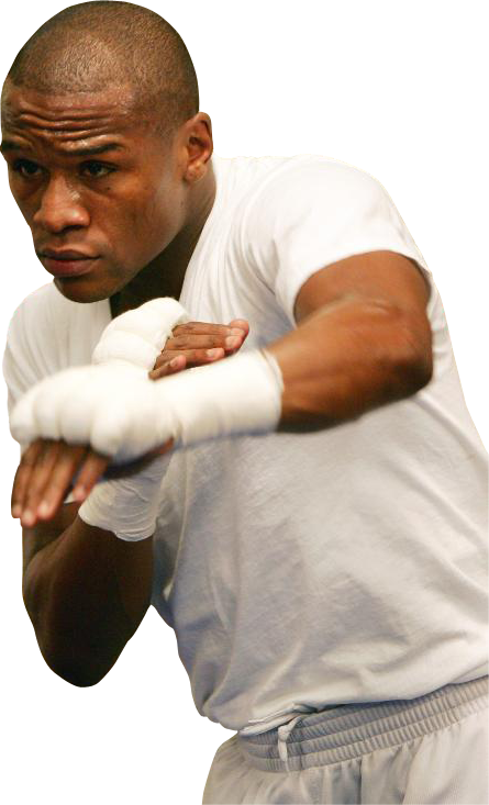 Floyd Mayweather Jr - Floyd Mayweather (445x733), Png Download