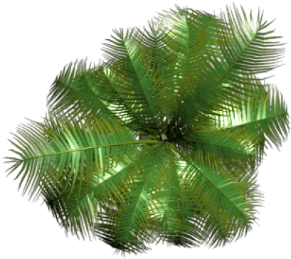Free Png Plant Png Images Transparent - Portable Network Graphics (850x638), Png Download