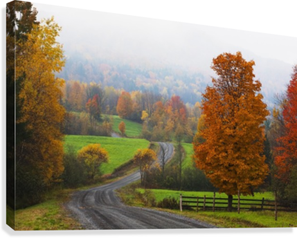Dirt Road In Autumn With Early Morning Fog - Foggy Autumn Dirt Road (429x344), Png Download