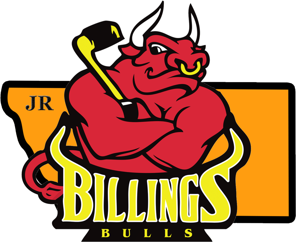 2015-2016 State Champions Bantam A - Billings Jr Bulls (1024x1024), Png Download