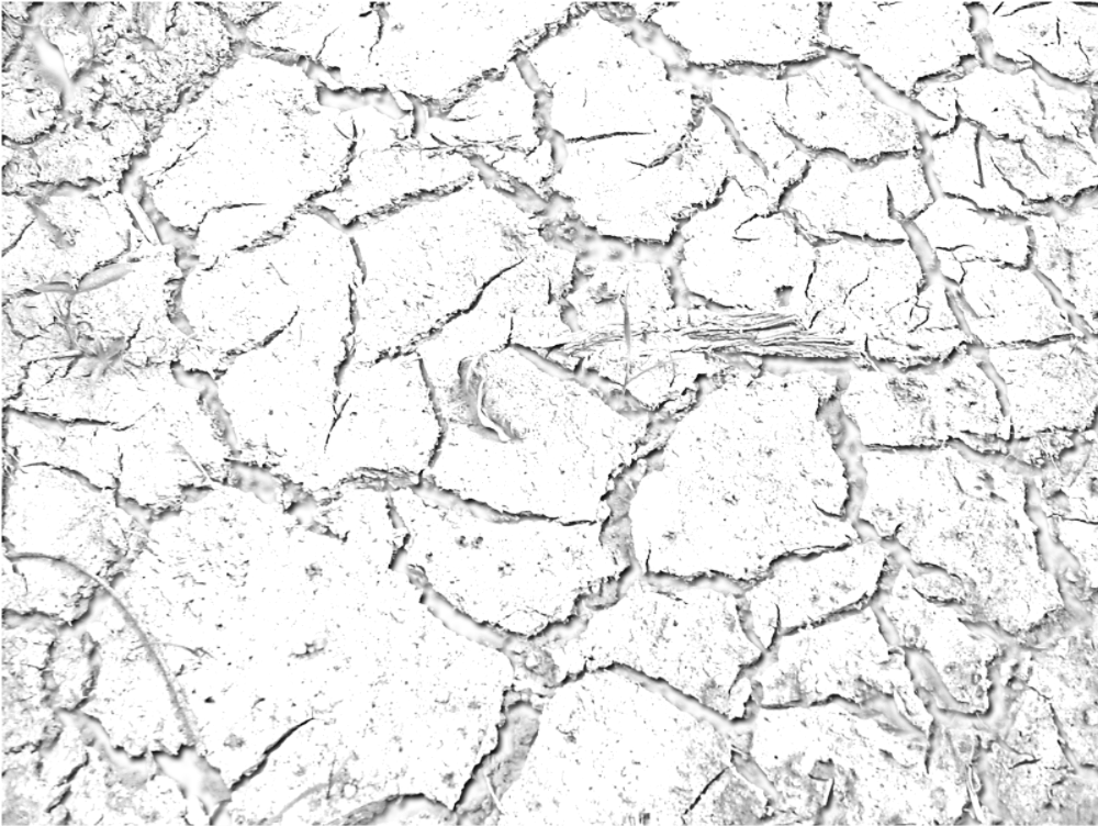 Share Kr Jaani - Cobblestone (1000x1000), Png Download