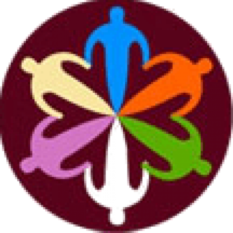 Cropped Parkland Logo Aa Favicon - United School Of Sports (800x800), Png Download