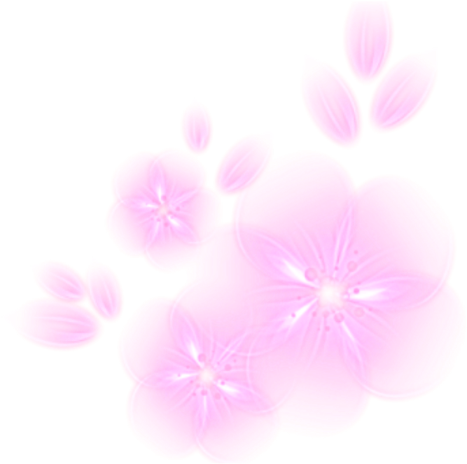 Ftestickers Flowers Light Glow Glowing Pink - Dianthus (1024x1024), Png Download