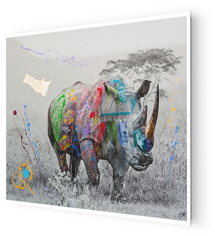 Photo Kifaru - Arno Elias - Arno Elias (1000x751), Png Download