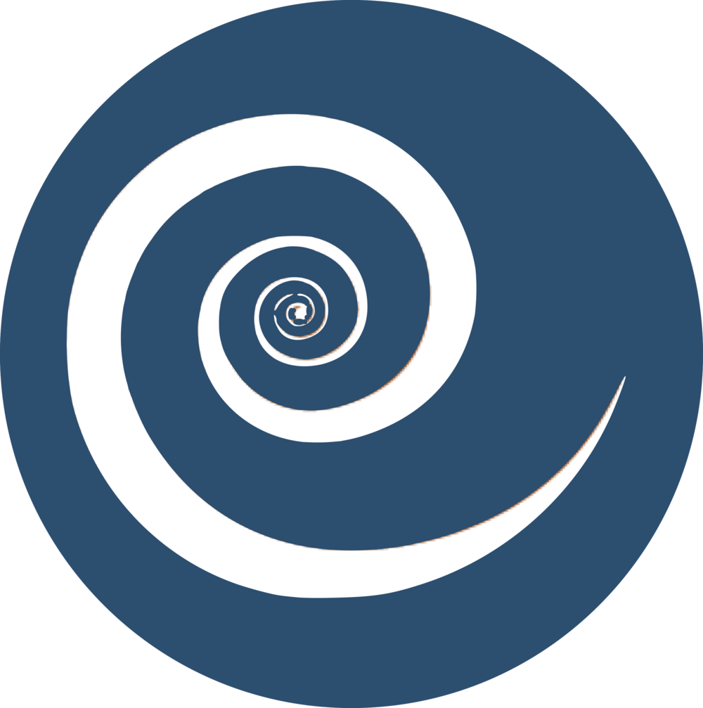 Mission Initiatives Blue Swirl Circle - Portable Network Graphics (1000x1007), Png Download