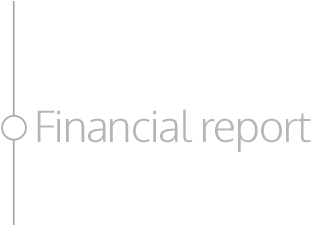 Financial Report For The Year To 31 December 2014 - Overweight (700x224), Png Download