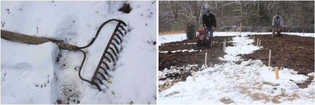 Picture - Snow (614x205), Png Download