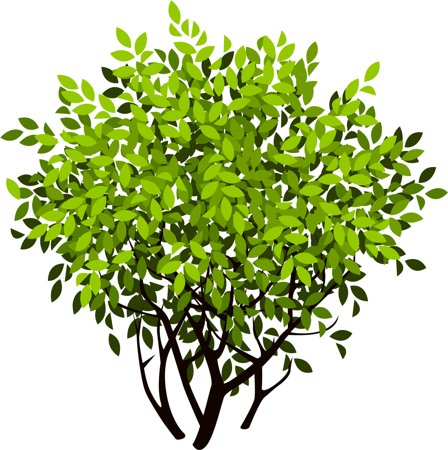 Download Bush 2583*2038 Transprent Png Free Download - Bush Vector Png ...