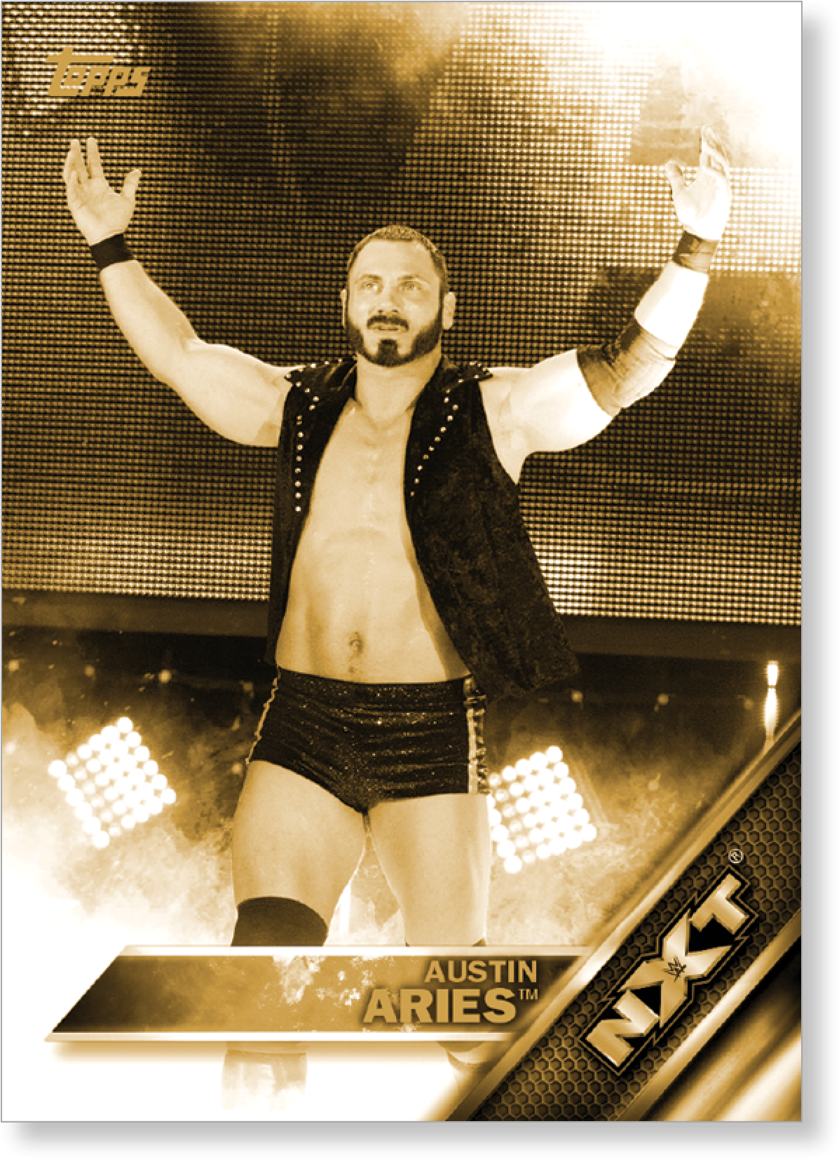 Austin Aries 2016 Topps Wwe Now, Then And Forever Nxt - 2016 Topps Wwe Then (2000x2000), Png Download