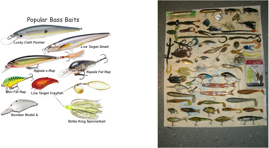 These Pictures Are Some Of The Lures That You Can Use - Koppers Live Target Rainbow Smelt Shollow Dive Jerkbait (875x482), Png Download