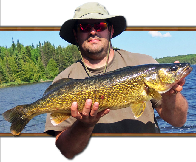 Walleye Fishing Tips - Pull Fish Out Of Water (657x544), Png Download