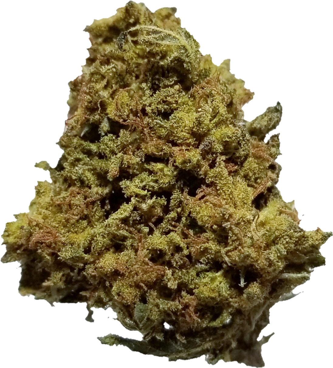 Monster Mass - Yellow Fir (1201x1333), Png Download