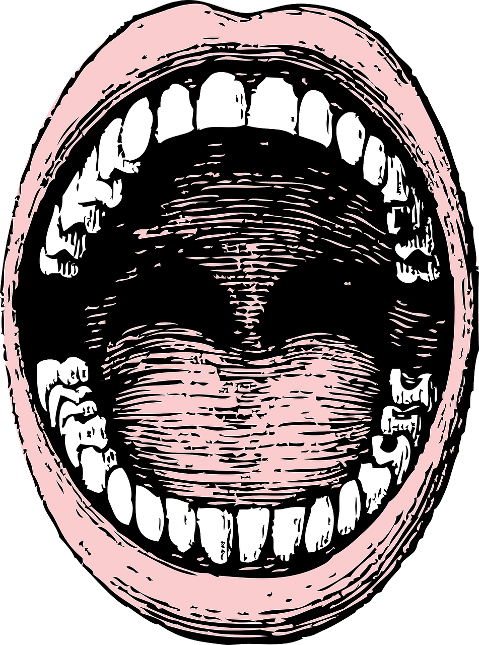 Head, Black, View, Diagram, Outline, Drawing, Open - Open Mouth Drawing (475x640), Png Download