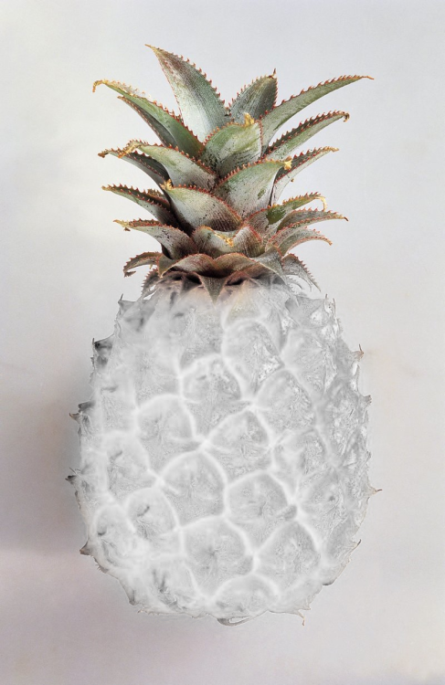 Transparent Pineapple - Fuck It Kinda Day (487x750), Png Download