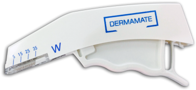 Dolphin Skin Stapler (400x300), Png Download