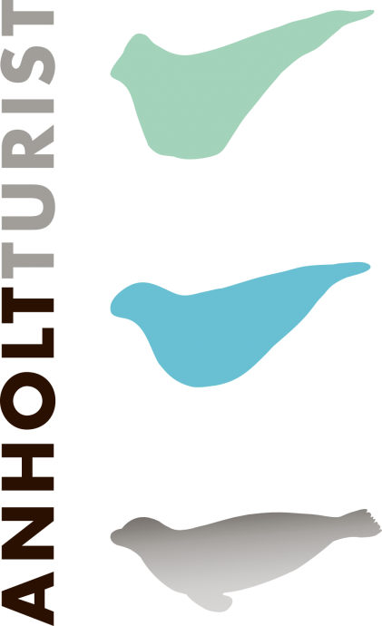 Her Er Både Fred Og Ro Og Et Levende Havnemiljø Med - Perching Bird (421x690), Png Download