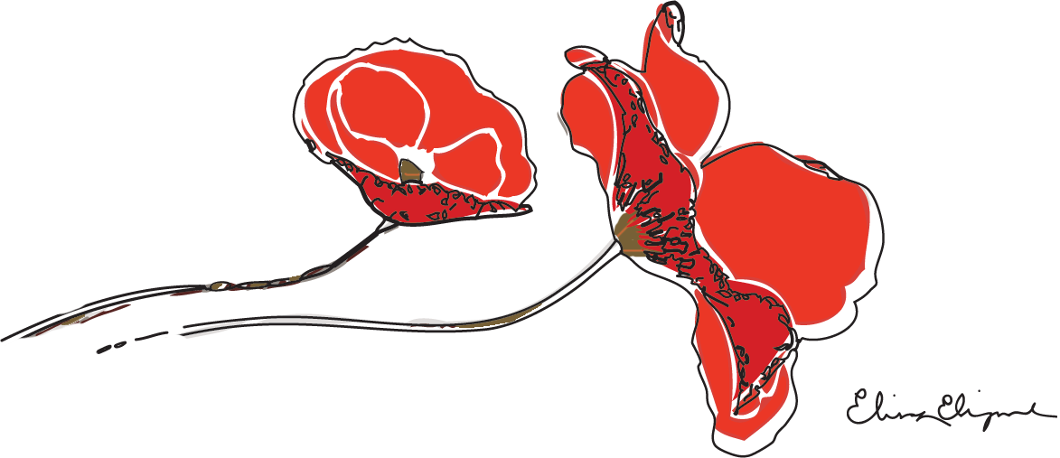 Illustrator - Photoshop - Design (1173x507), Png Download