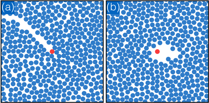 Snapshots From Brownian Dynamics Simulations Of A Run - Circle (677x329), Png Download