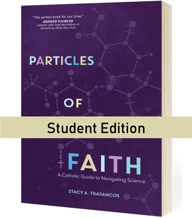 Coming In 2019 - Particles Of Faith: A Catholic Guide To Navigating (754x907), Png Download