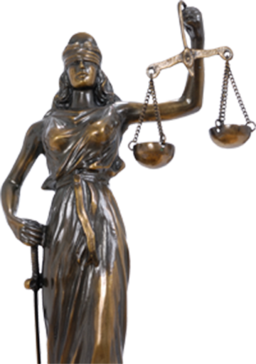 Immigration Law - Richard Paul Intellectual Standards (360x511), Png Download