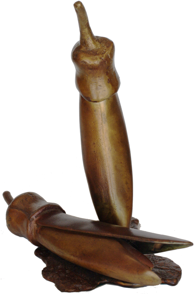 Kowhai By Paul Dibble - Paul Dibble (682x1024), Png Download