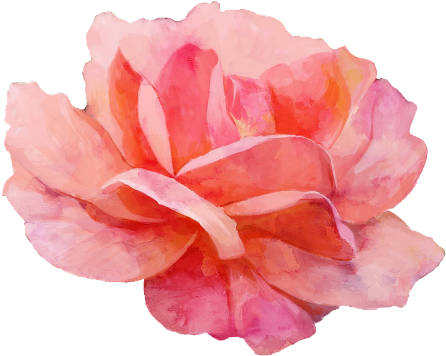 Watercolor Floral Elements Png (480x480), Png Download