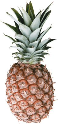 Pineapple - Pineapple Marble (400x400), Png Download